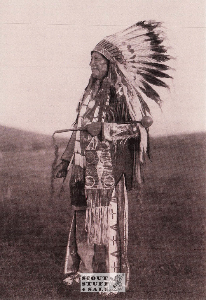 High Hawk Black/White Postcard by Classico SF/Ludlow #136-444