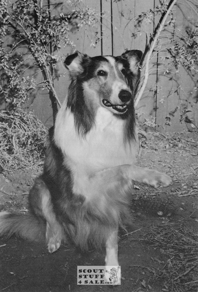 Lassie Black/White Postcard by Classico San Francisco #152-002
