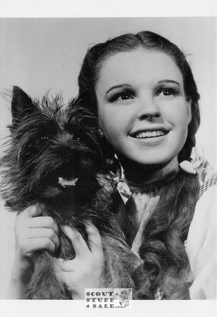 The Wizard of Oz Postcard by Classico San Francisco #232-063