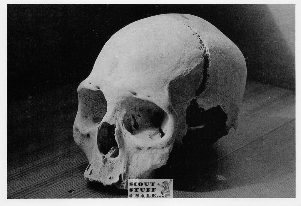 SKULL Maria Rosina Photo Postcard by Classico SF #236-016