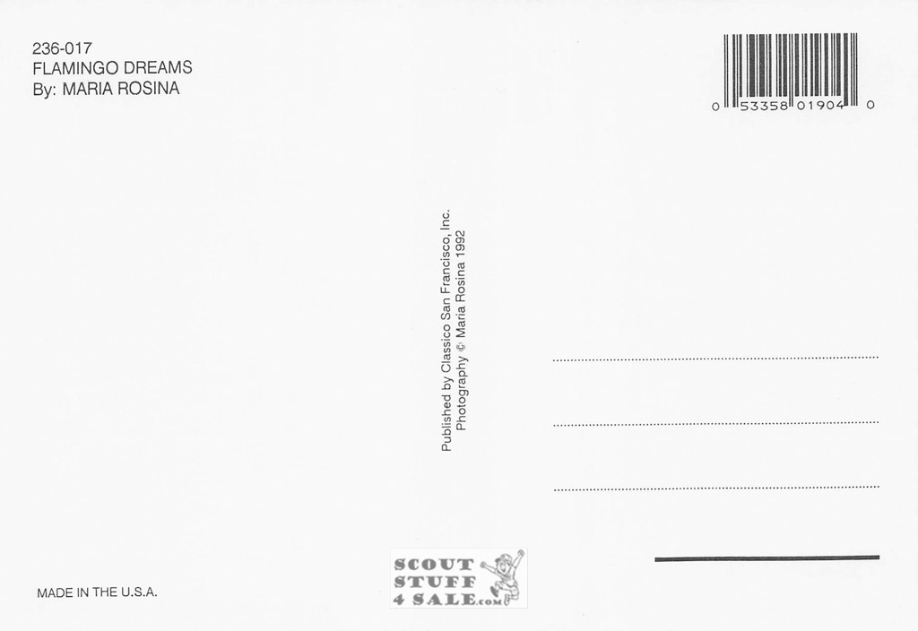 FLAMINGO DREAMS Maria Rosina Photo Postcard by Classico SF #236-017