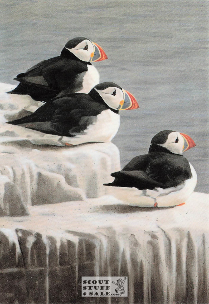 Bird Wildlife Artwork Postcard Series by Classico San Francisco #263-004