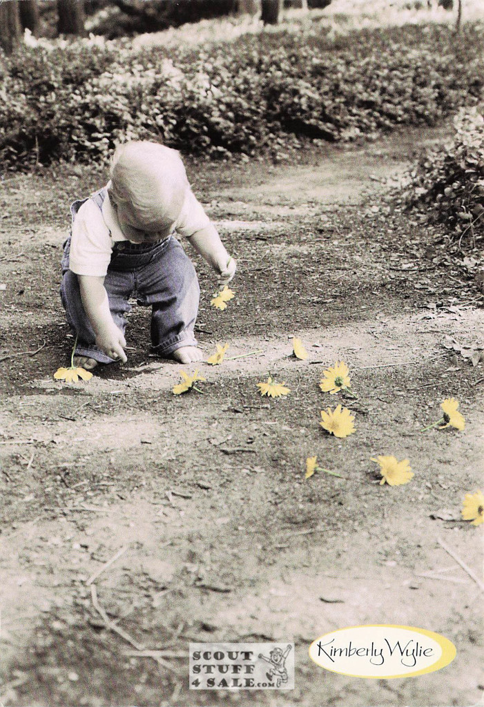 Picked Just for You Kimberly Wylie Photography Postcard by Classico SF #264-001