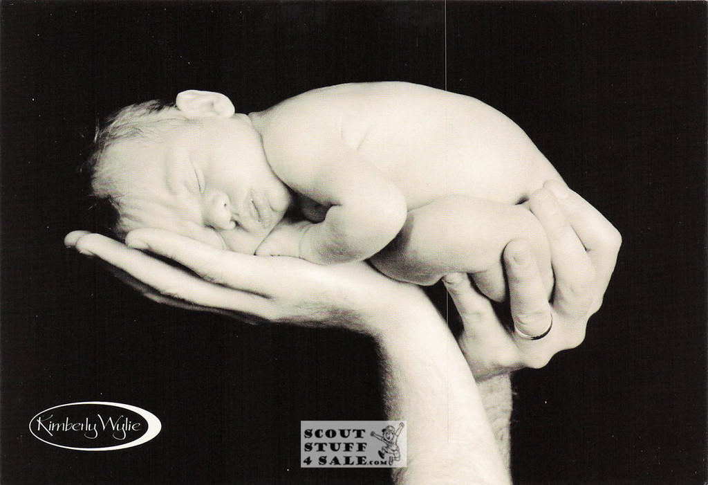 Sleepy Time Kimberly Wylie Photography Postcard by Classico SF #264-022