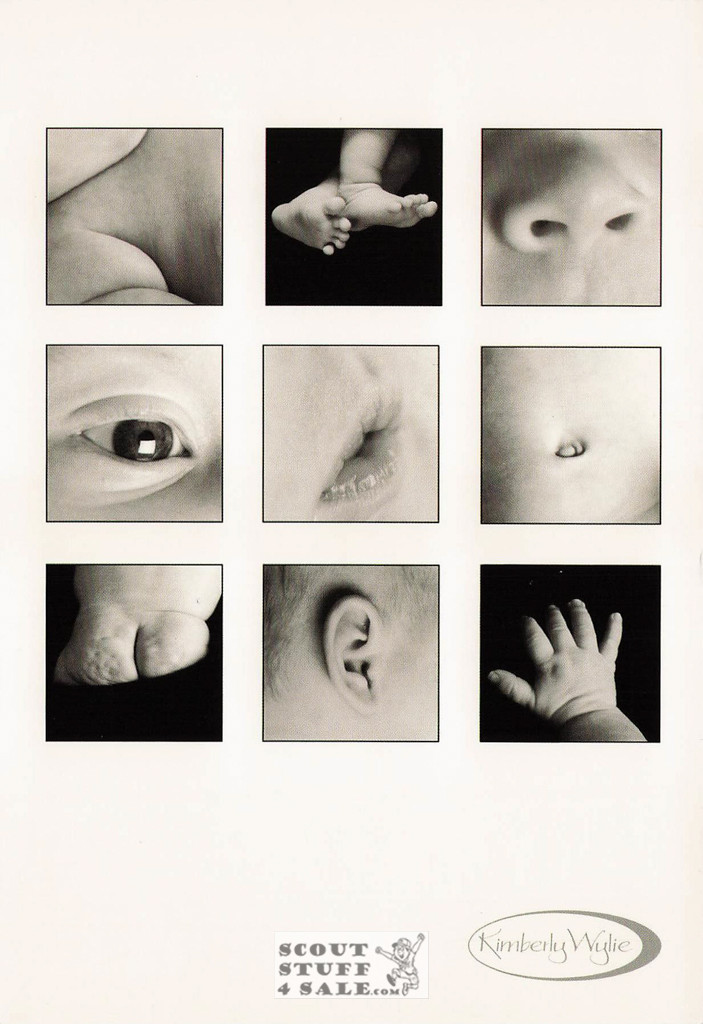 Baby Parts Kimberly Wylie Photography Postcard by Classico SF #264-024