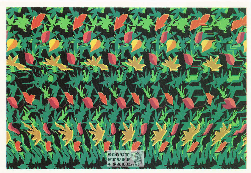 Duck - Magic Eye 3D Optical Illusion Postcard, Classico San Francisco #512-023