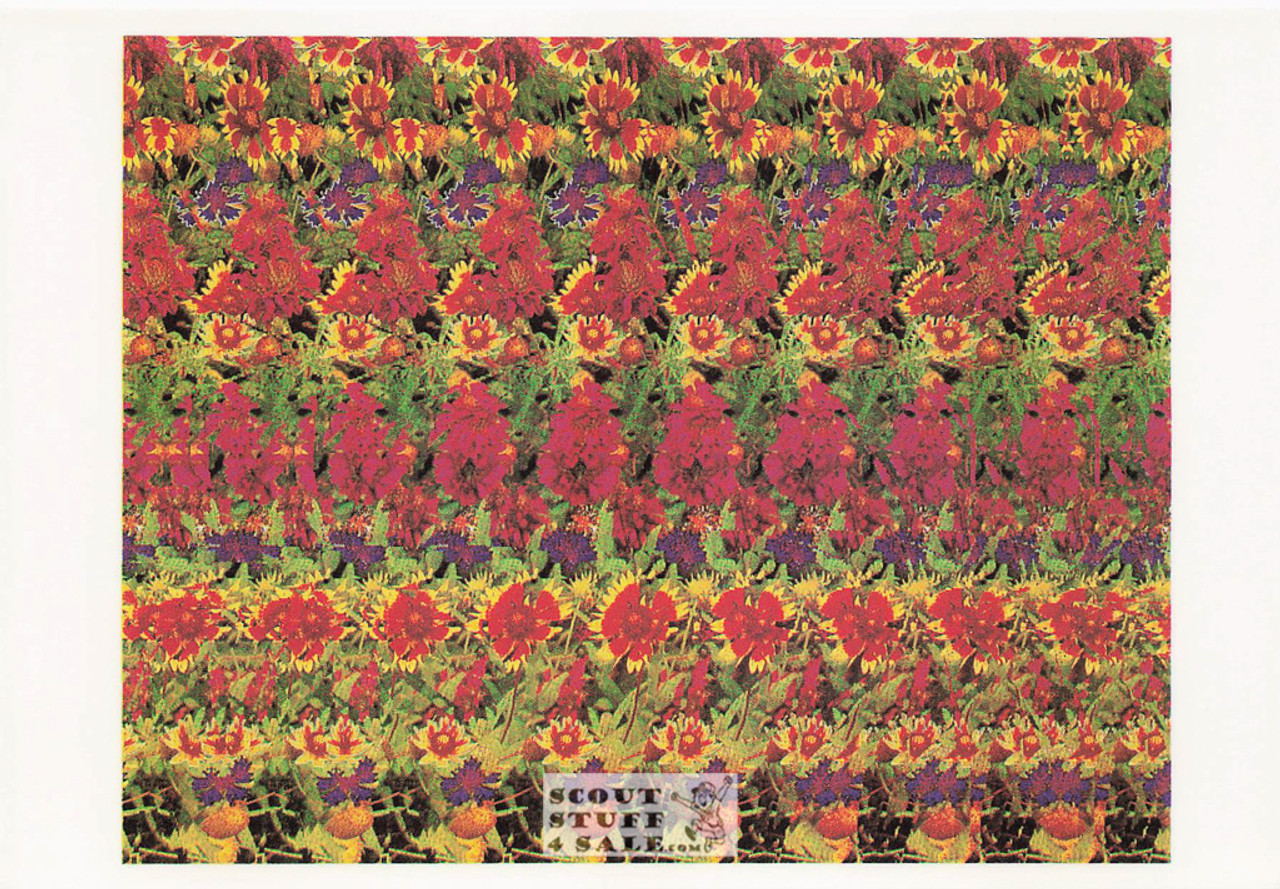 Flowers - Magic Eye 3D Optical Illusion Postcard, Classico San Francisco #512-050