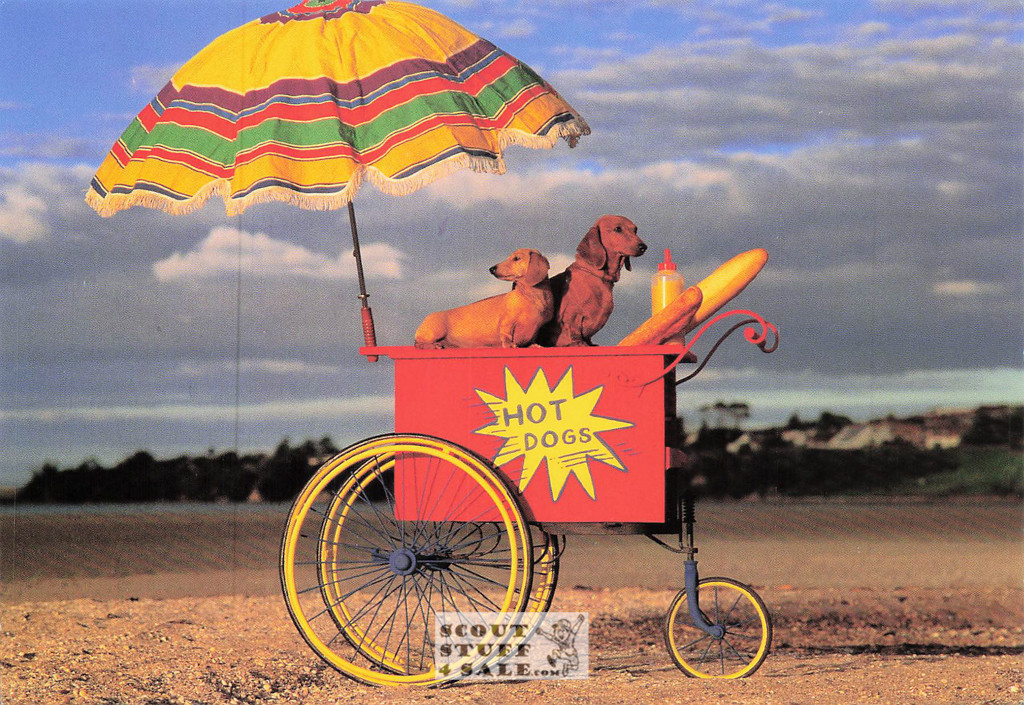 Animal Antics Dog Photography Postcard, Classico San Francisco #520-005