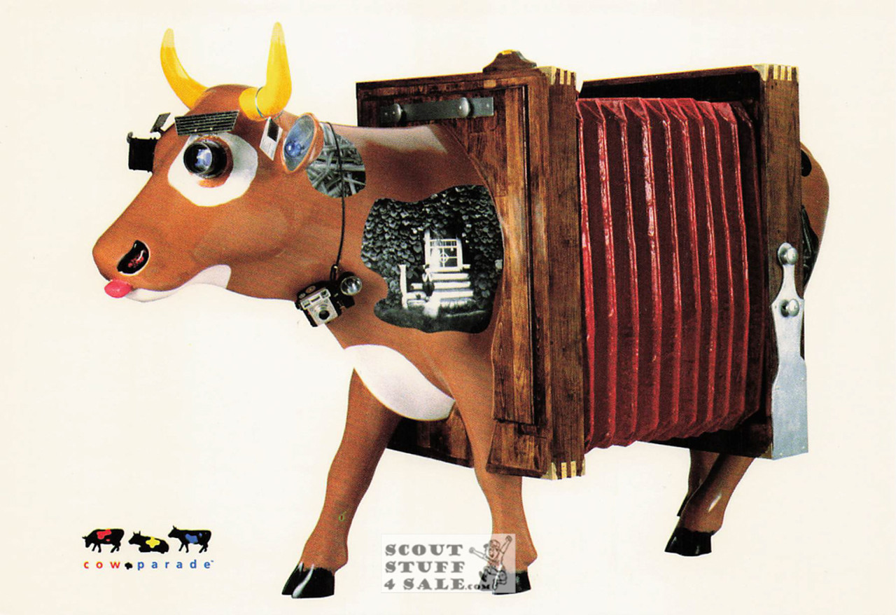 Cow Cam Postcard, Cow Parade, Classico SF #543-007
