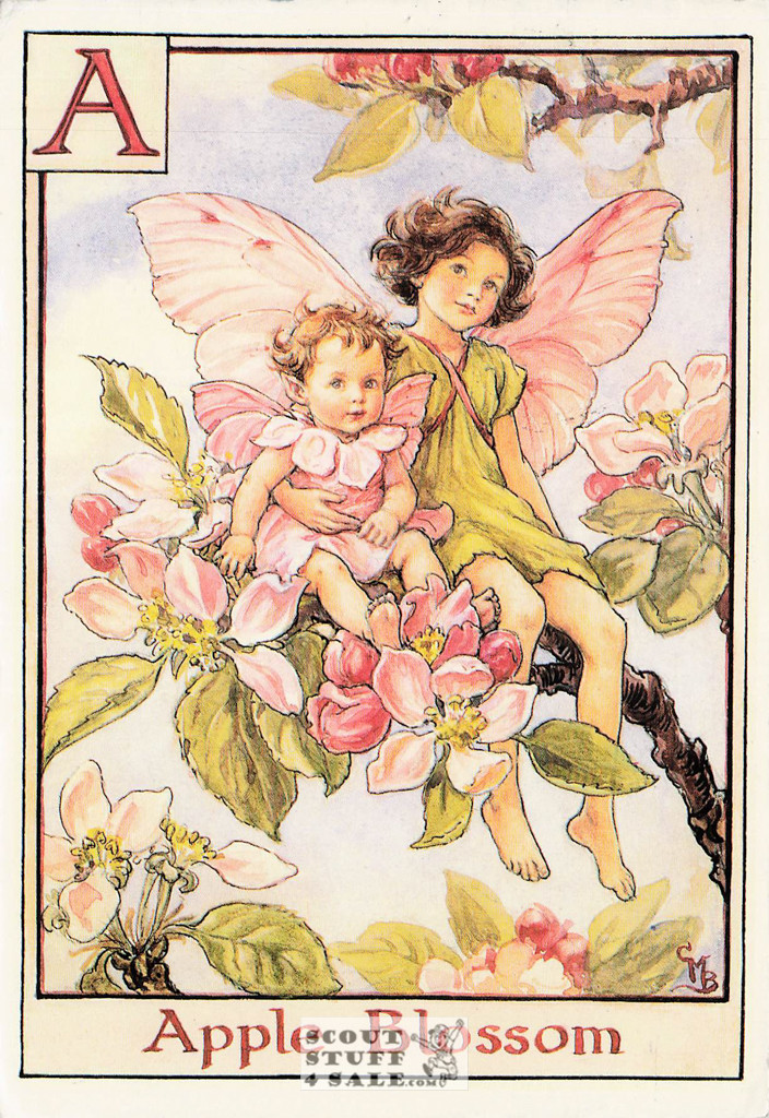 The Apple Blosson Fairy Postcard, Cicely Mary Barker Flower Fairies, #584-001