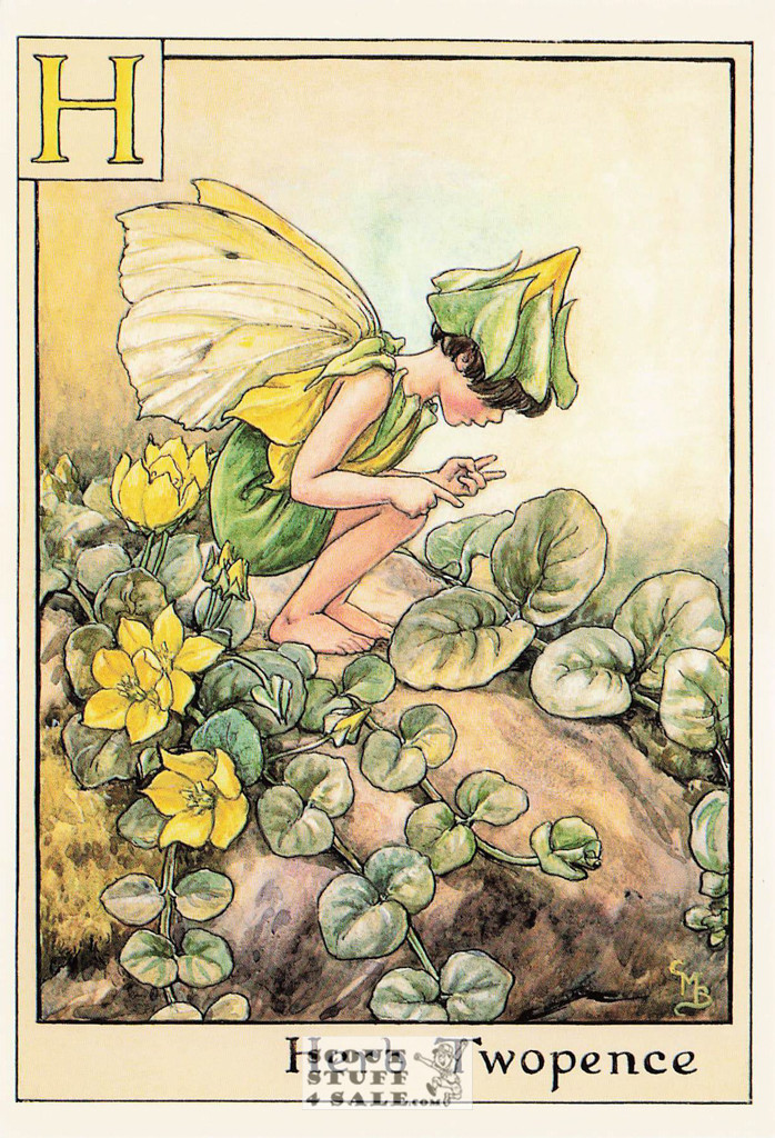 The Herb Twopence Fairy Postcard, Cicely Mary Barker Flower Fairies, #584-008