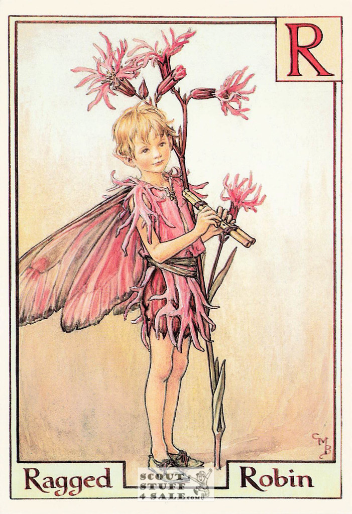 The Ragged Robin Fairy Postcard, Cicely Mary Barker Flower Fairies, #584-018