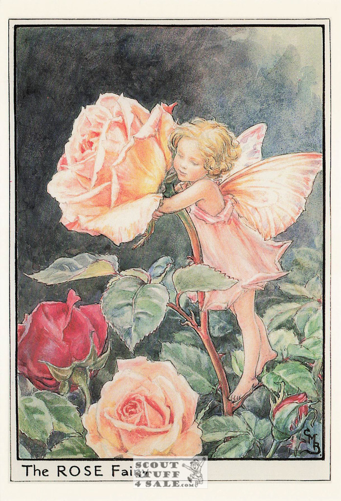 The Rose Fairy Postcard, Cicely Mary Barker Flower Fairies, Classico SF #584-025