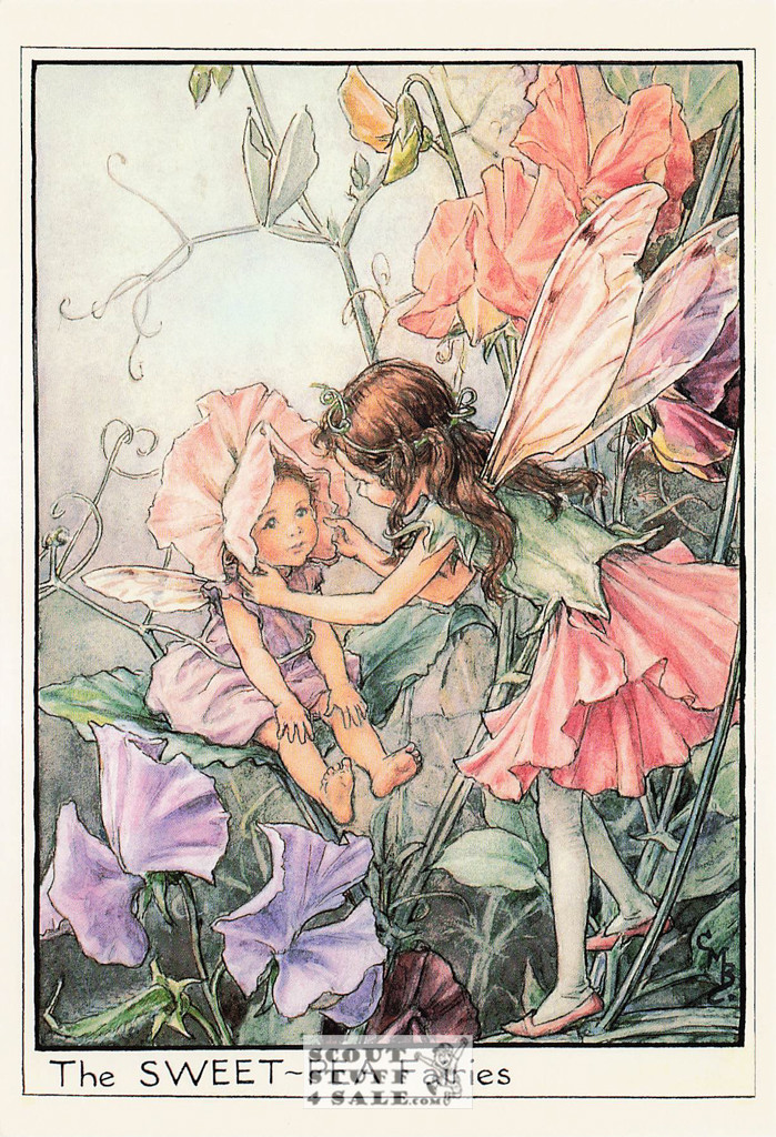 The Sweet Pea Fairy Postcard, Cicely Mary Barker Flower Fairies, Classico #584-032