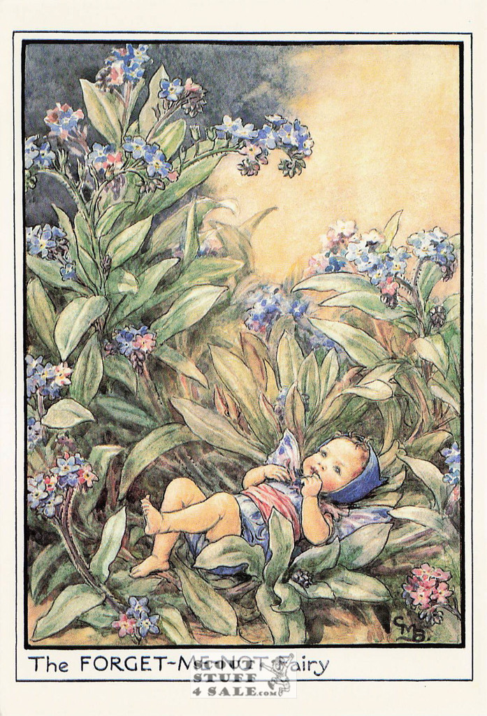 The Forget Me Not Fairy Postcard, Cicely Mary Barker Flower Fairies, #584-035