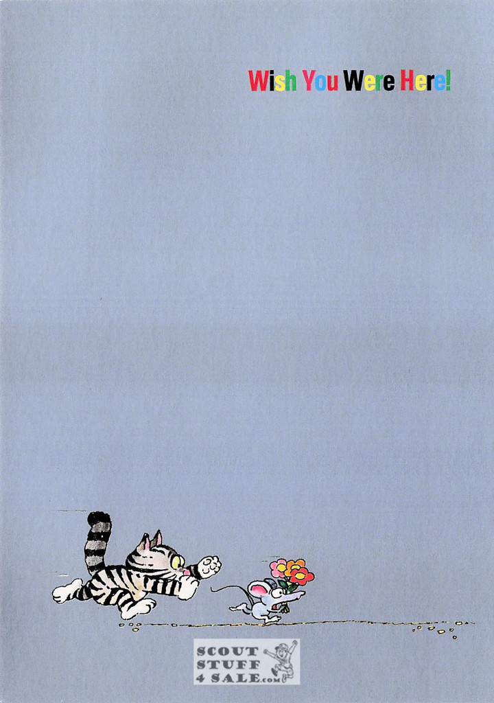 Wish You Were Here , Sunny Silver Cartoon Postcard, Classico SF #590-026