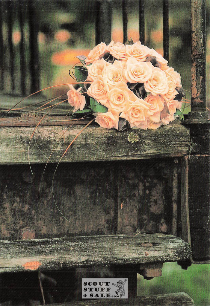 Judy Reinen Photography Wedding Postcard by Classico San Francisco #596-010