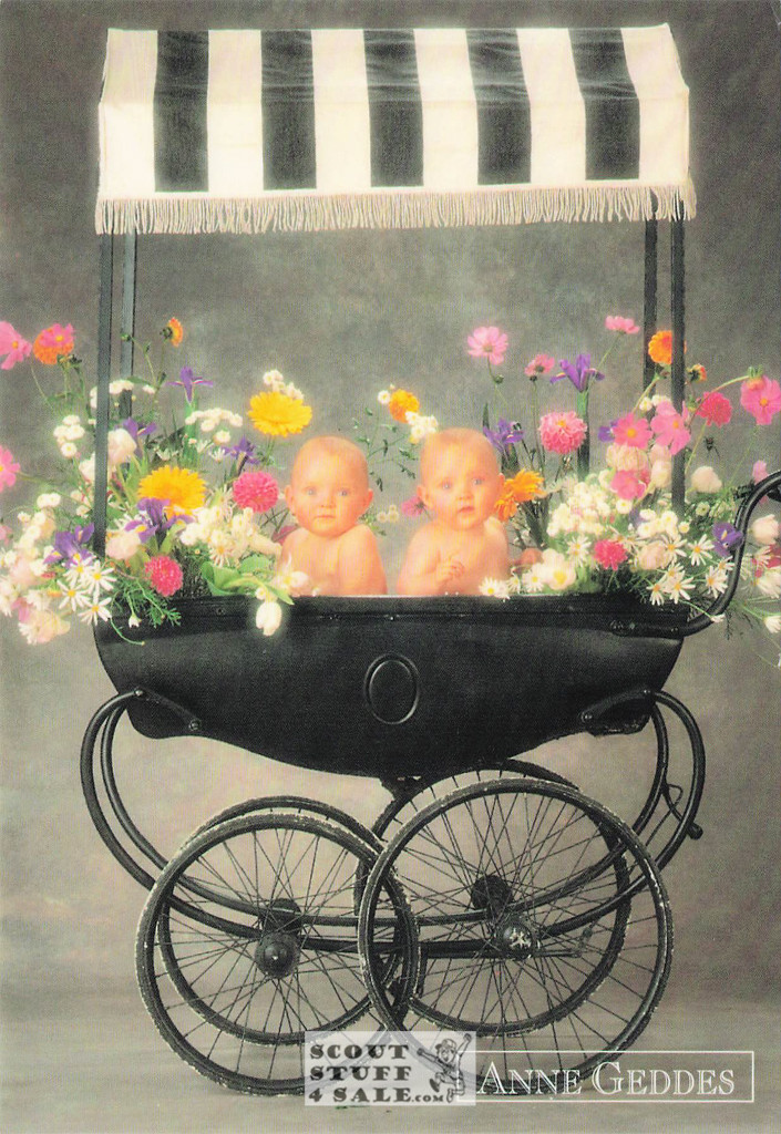 Anne Geddes Photography Postcard by Classico San Francisco #605-006v2