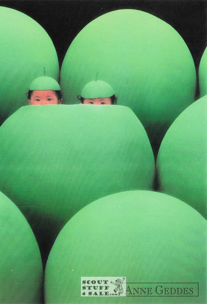 Anne Geddes Photography Postcard by Classico San Francisco #605-012v2