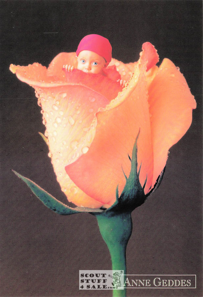 Anne Geddes Photography Postcard by Classico San Francisco #605-017v2
