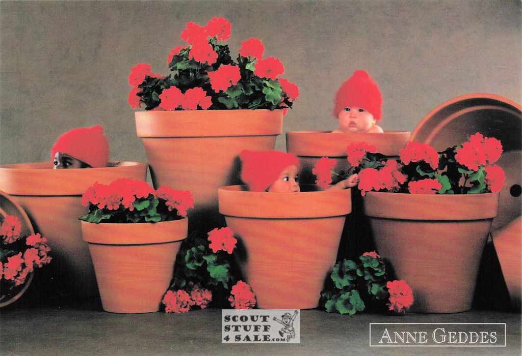 Anne Geddes Photography Postcard by Classico San Francisco #605-028v2