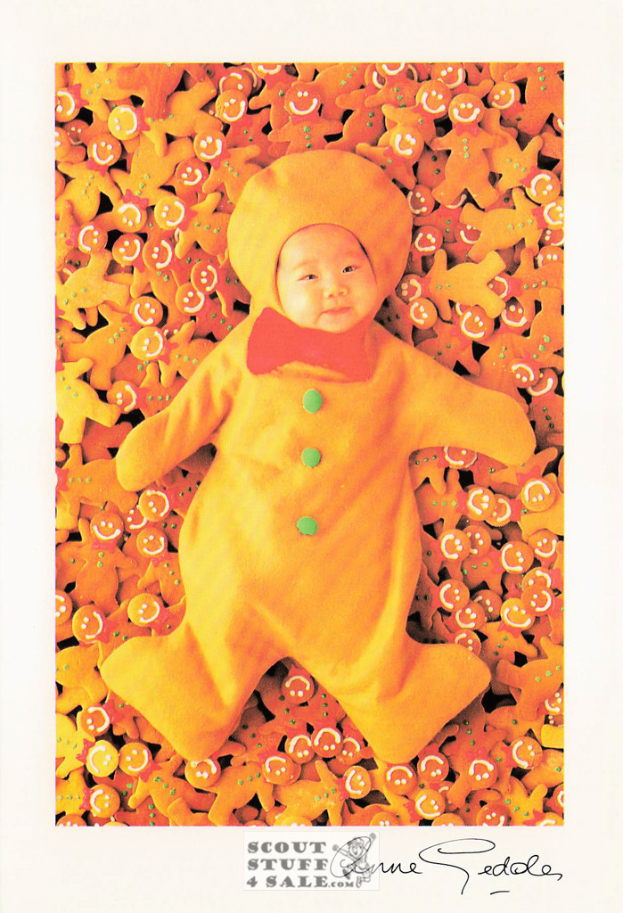 Anne Geddes Photography Postcard by Classico San Francisco #605-036v1