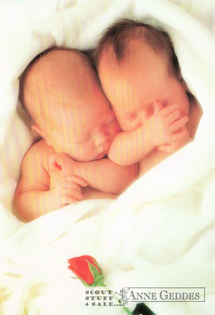 Anne Geddes Photography Postcard by Classico San Francisco #605-043v2