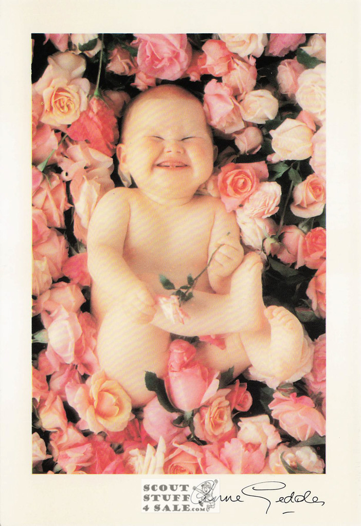 Anne Geddes Photography Postcard by Classico San Francisco #605-048v1