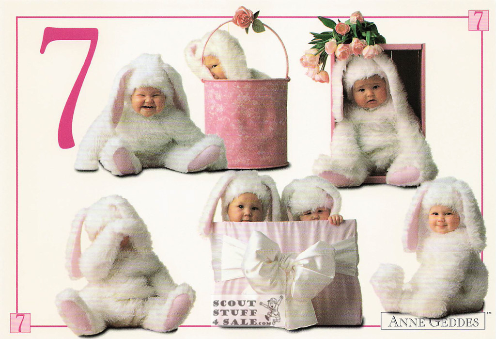 Anne Geddes Photography Postcard by Classico San Francisco #605-086