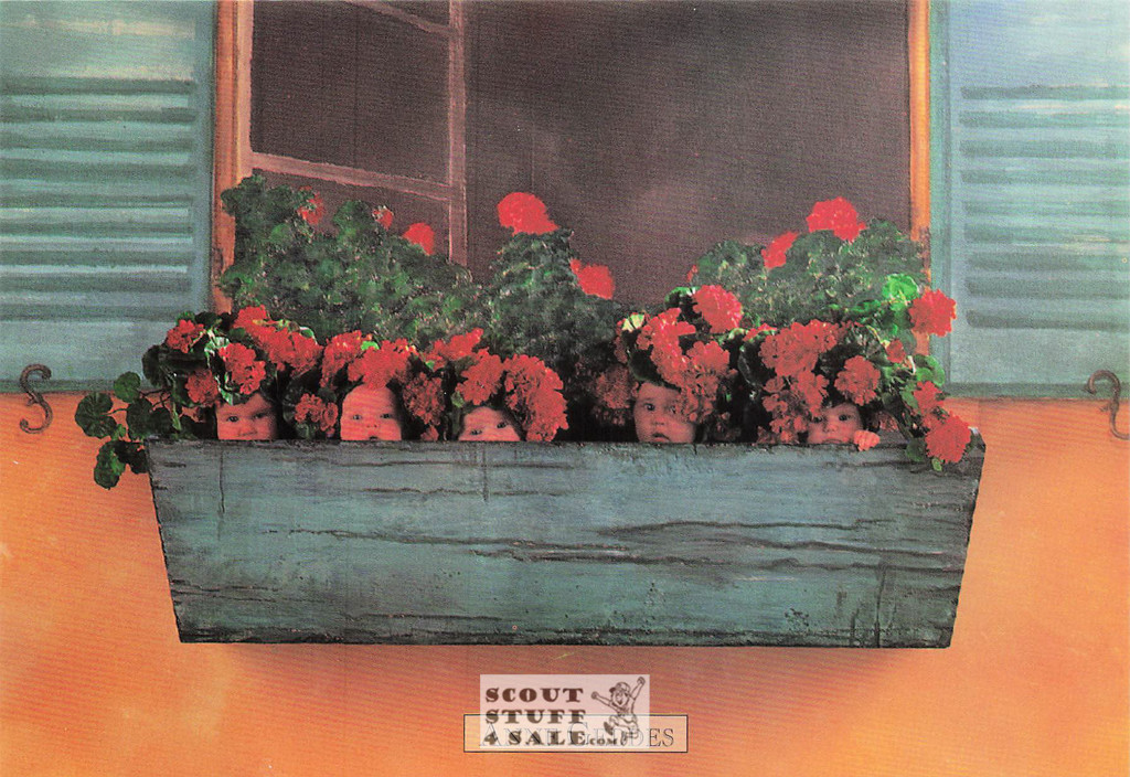 Anne Geddes Photography Postcard by Classico San Francisco #605-094