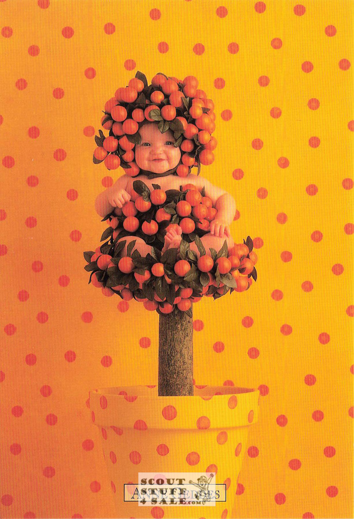 Anne Geddes Photography Postcard by Classico San Francisco #605-096