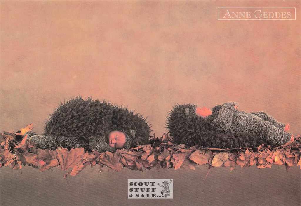 Anne Geddes Photography Postcard by Classico San Francisco #605-106