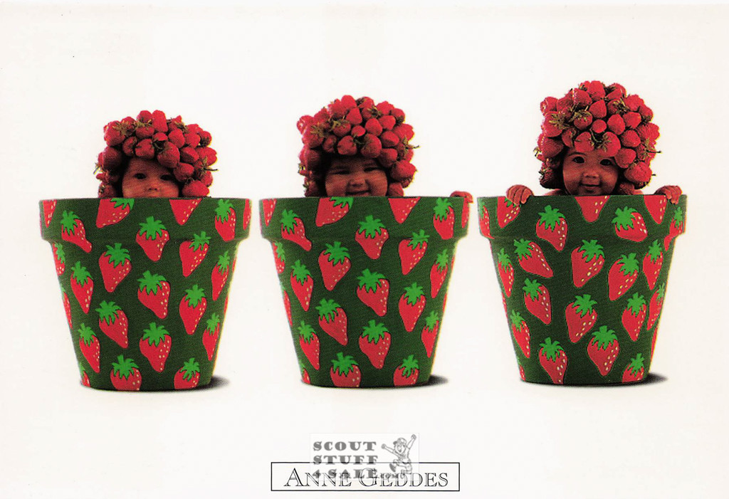 Anne Geddes Photography Postcard by Classico San Francisco #605-108