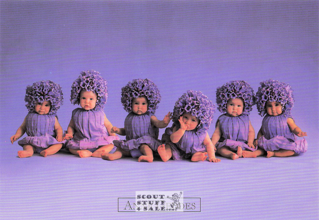 Anne Geddes Photography Postcard by Classico San Francisco #605-113