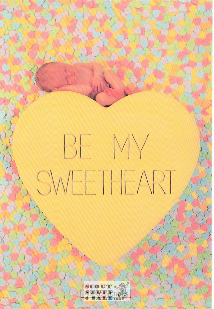 Anne Geddes Photography Postcard by Classico San Francisco #605-141