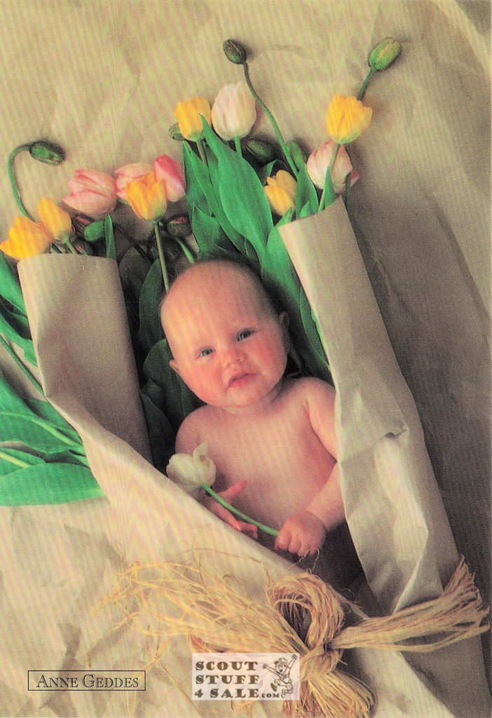 Anne Geddes Photography Postcard by Classico San Francisco #605-144