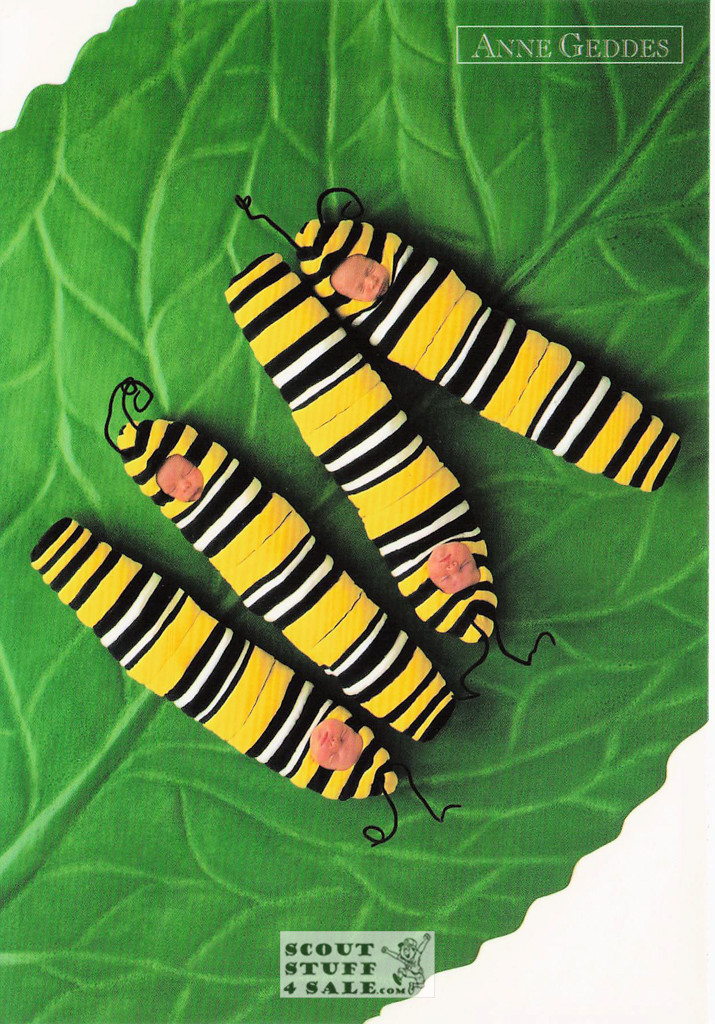 Anne Geddes Photography Postcard by Classico San Francisco #605-165