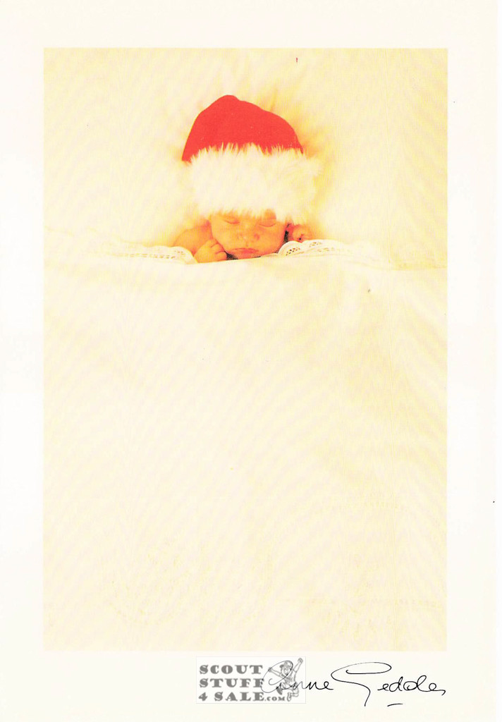 Anne Geddes Photography Christmas Postcard by Classico San Francisco #605-523v1
