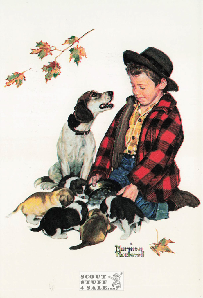 A BOY AND HIS DOG-PRIDE OF PARENTHOOD, Norman Rockwell Postcard, #611-048