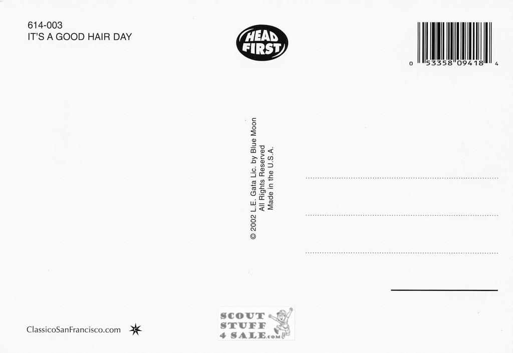 IT'S A GOOD HAIR DAY, Head First Humorous Animal Photo Postcard, #614-003