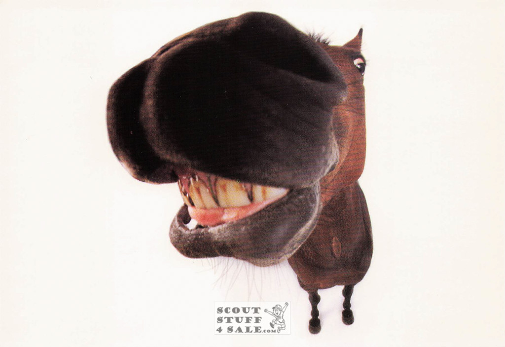 HOW ABOUT THAT FOR A GOOD LAUGH, Head First Animal Photo Postcard, #614-010