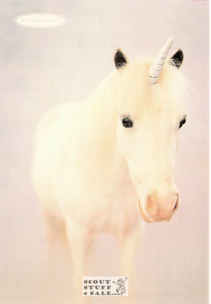 Geronimo, Rachael Hale Animal Photography Postcard, Classico SF #628-018