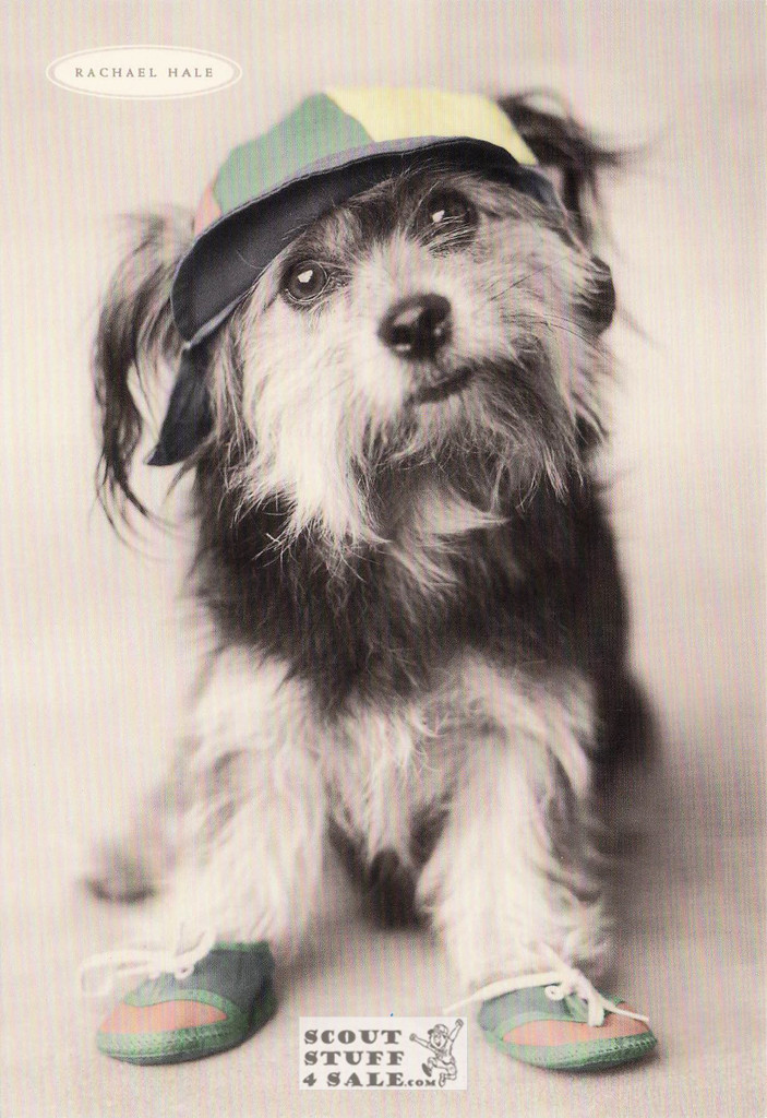 Mulga, Rachael Hale Animal Photography Postcard, Classico SF #628-020