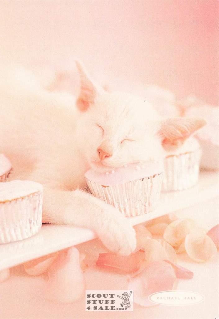Cupcakes, Rachael Hale Animal Photography Postcard, Classico SF #628-026