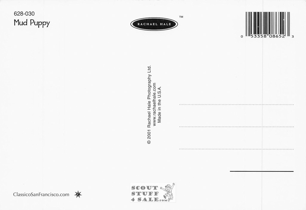 Mud Puppy, Rachael Hale Animal Photography Postcard, Classico SF #628-030