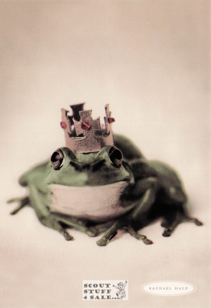 King Geoffrey, Rachael Hale Animal Photography Postcard, Classico SF #628-033