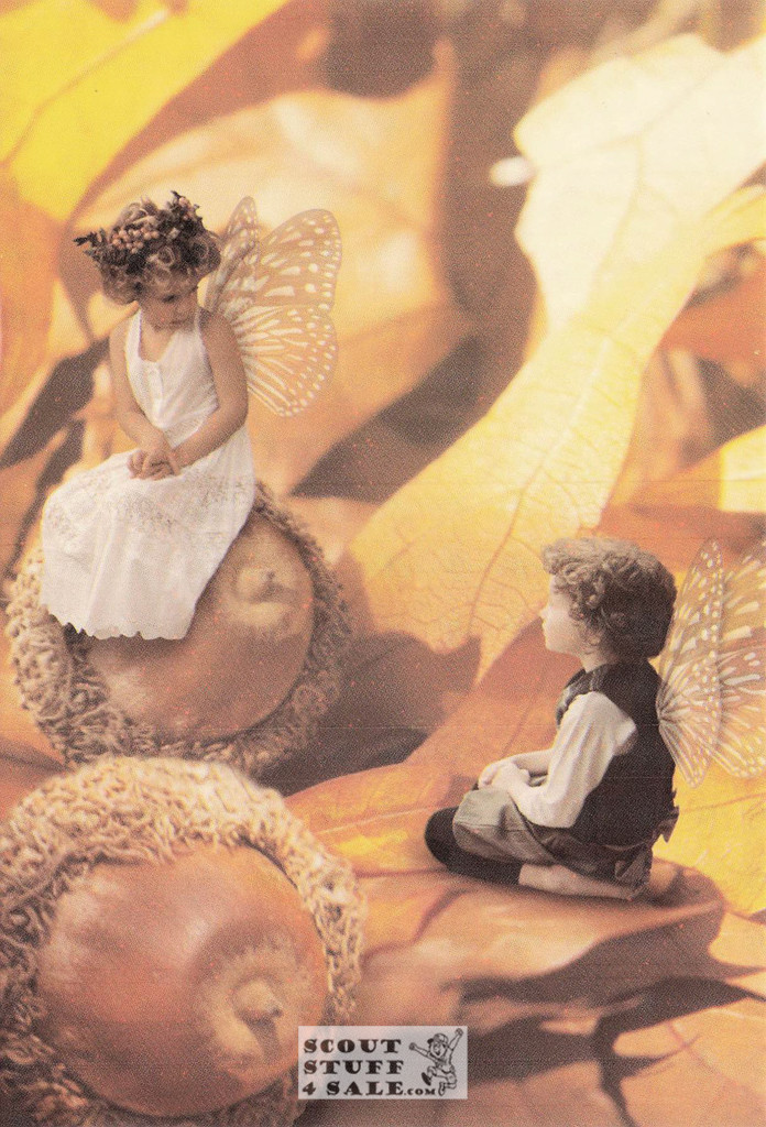 Nuts About You, Tiny Wonders Photography Postcard, Classico SF #646-018