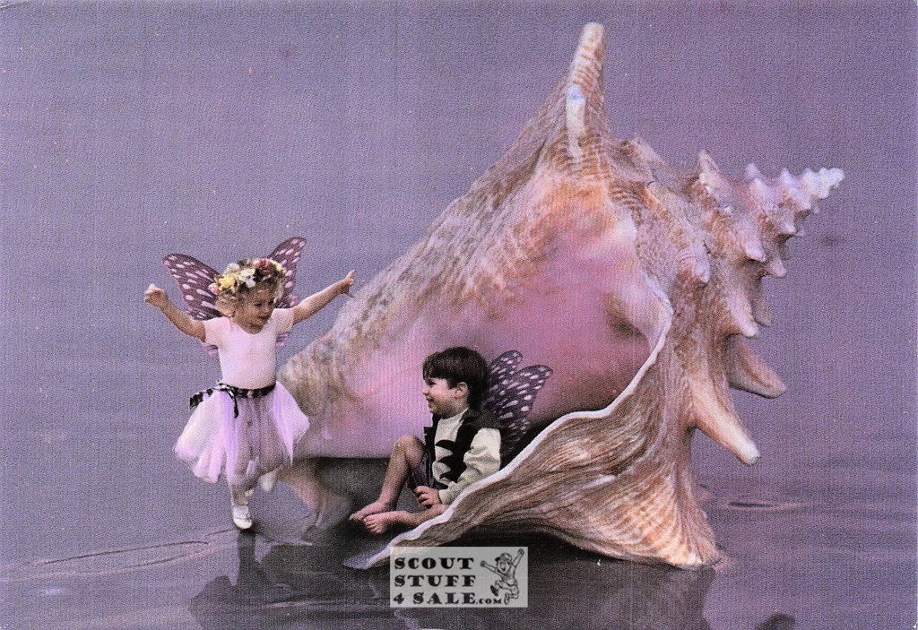 Shell Seekers, Tiny Wonders Photography Postcard, Classico SF #646-043