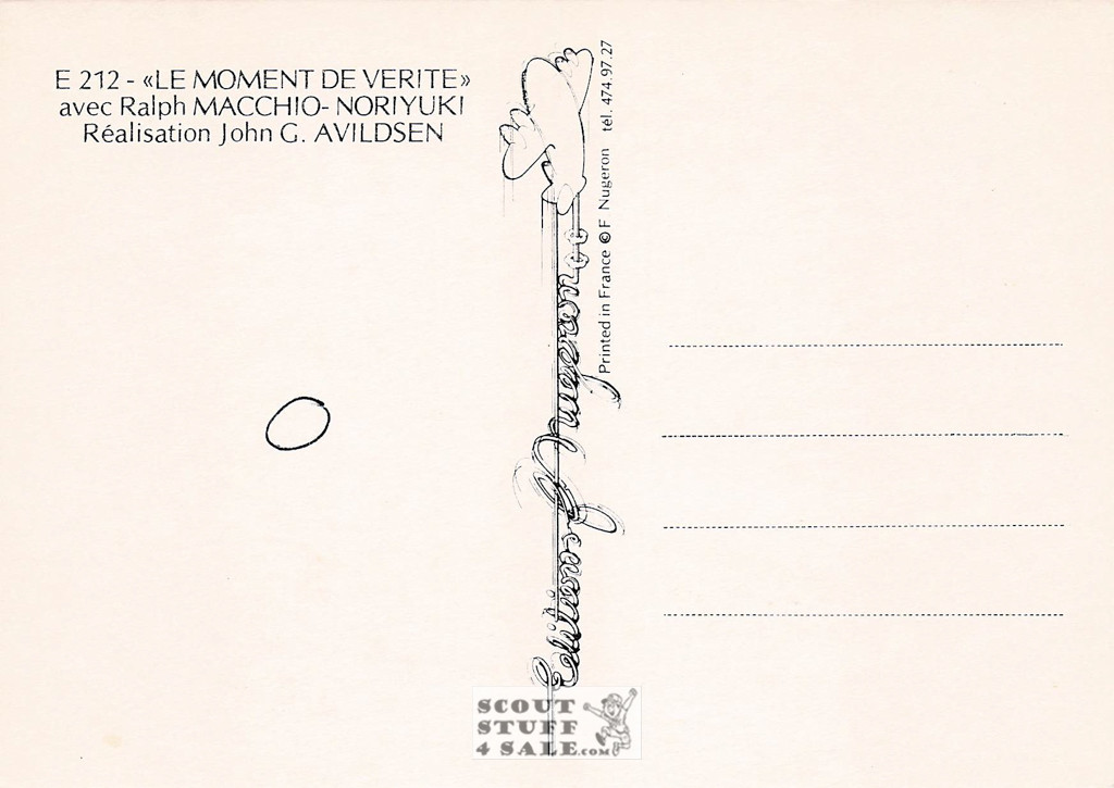 The Karate Kid French Movie Poster Postcard, Ralph Macchio, Editions Nugeron #E212