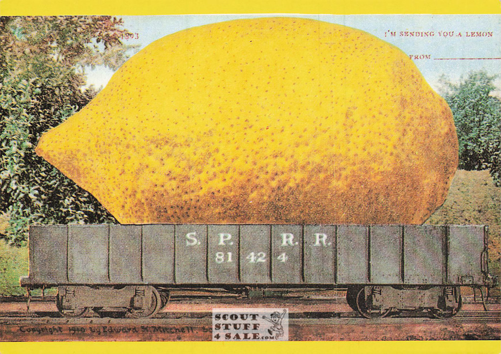 1910 Picture of Large Lemon Postcard, Edward Mitchell, Editions Nugeron #FRUITS1